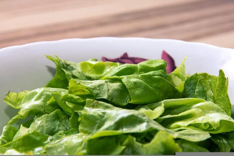 salad, leaves, lettuce-5864883.jpg